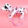 Factory direct sales of new pet chest and back models details Picture